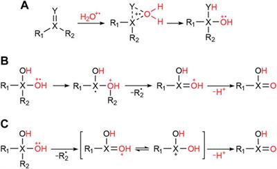 Spontaneous Water Radical Cation Oxidation at Double Bonds in Microdroplets